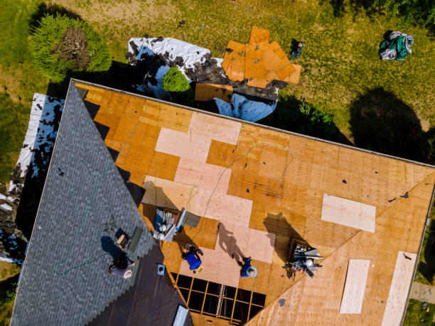 Best Roof Restoration Services  in Blue Mound, IL