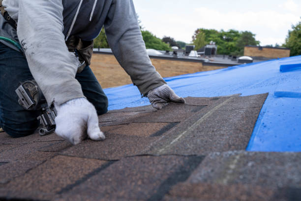 Best Residential Roofing Contractor  in Blue Mound, IL