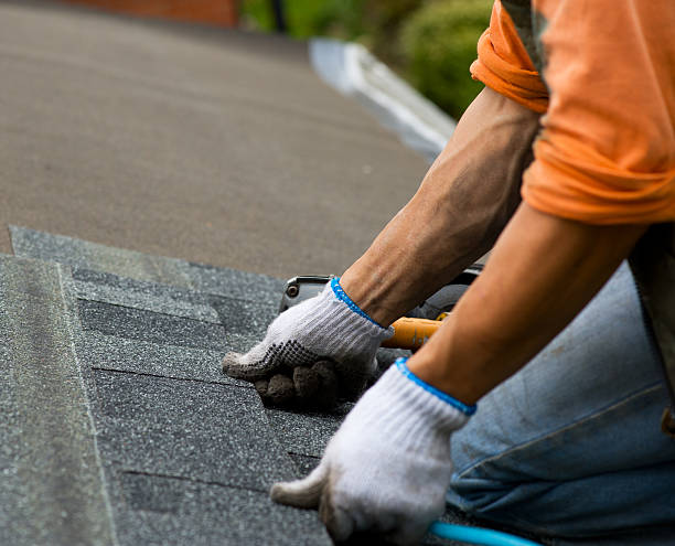 Best Roof Maintenance Services  in Blue Mound, IL