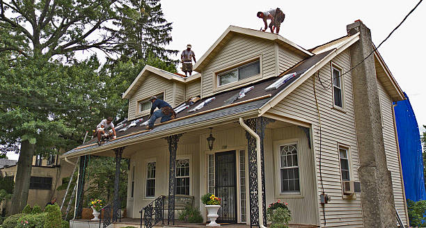 Best Shingle Roofing Installation  in Blue Mound, IL